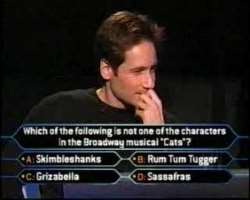 Duchovny participated in  Who Wants to Be a Millionaire in the year 2000 on the Celebrity edition. His answer to the question worth 500000 dollars was